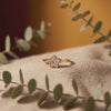 House of Viya Gold Plated CZ Star Solitaire Ring Video – 360 View of Anti-Tarnish Stainless Steel Clover Ring